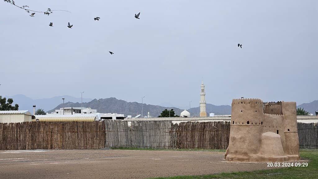 Historical Tombs & Excavations