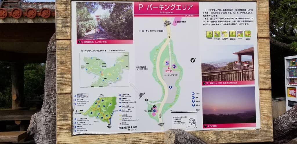 Cherry Blossom Spectacle