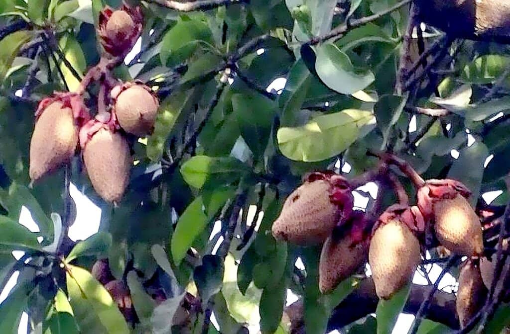 Picnic and Relaxation Spots