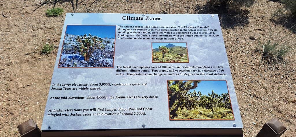 Sunrise/Sunset Spectacle