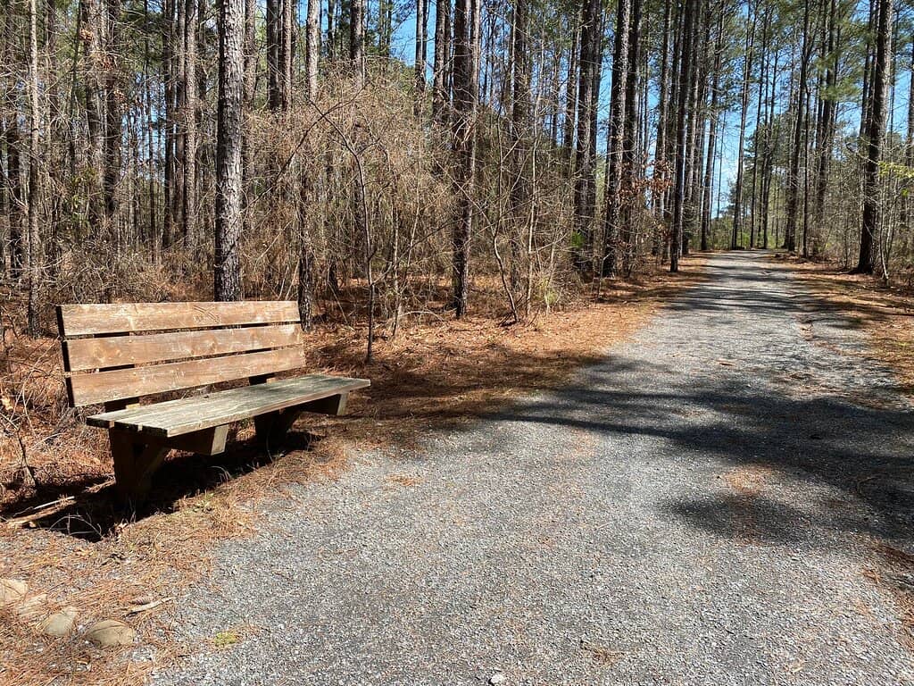 Wooded Hiking Trails