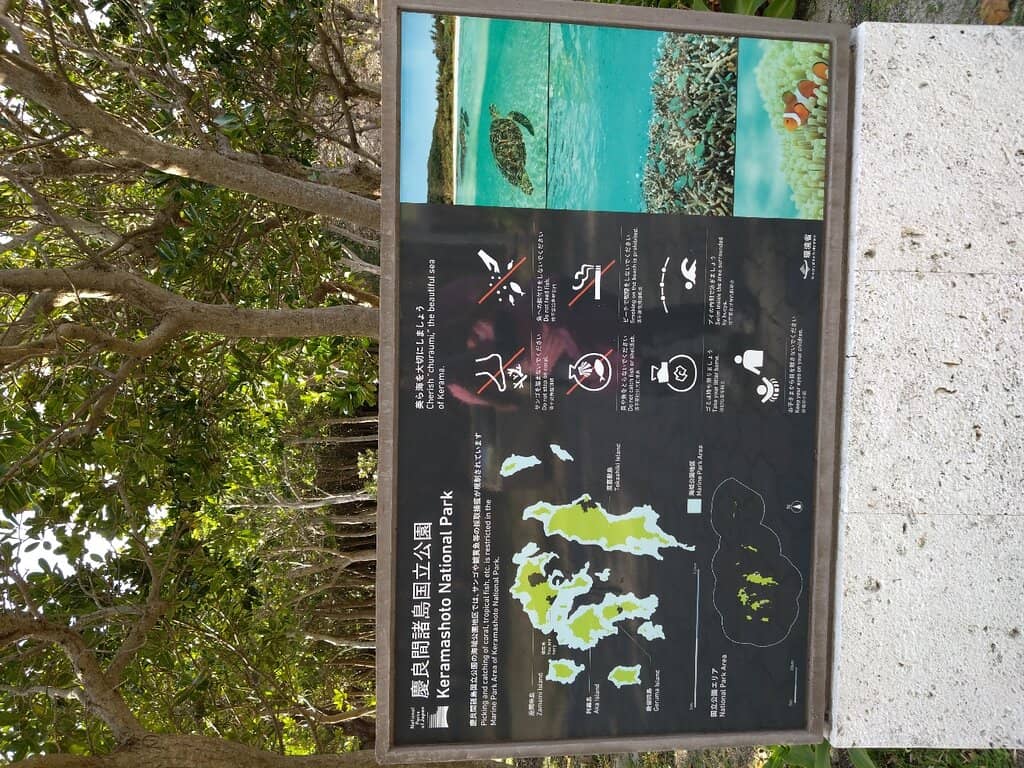 Lifelike Wax Sculptures