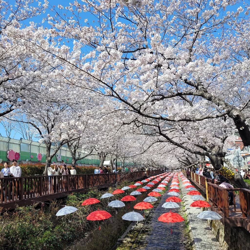 Yeojwacheon Romance Bridge