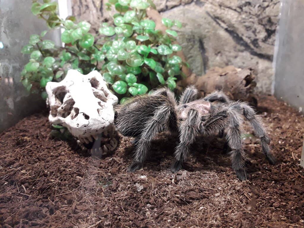 Mankind's History & Conservation