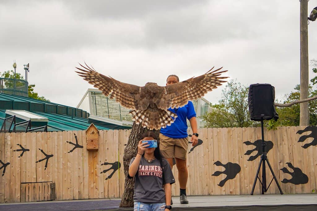 Penguin Point Habitat