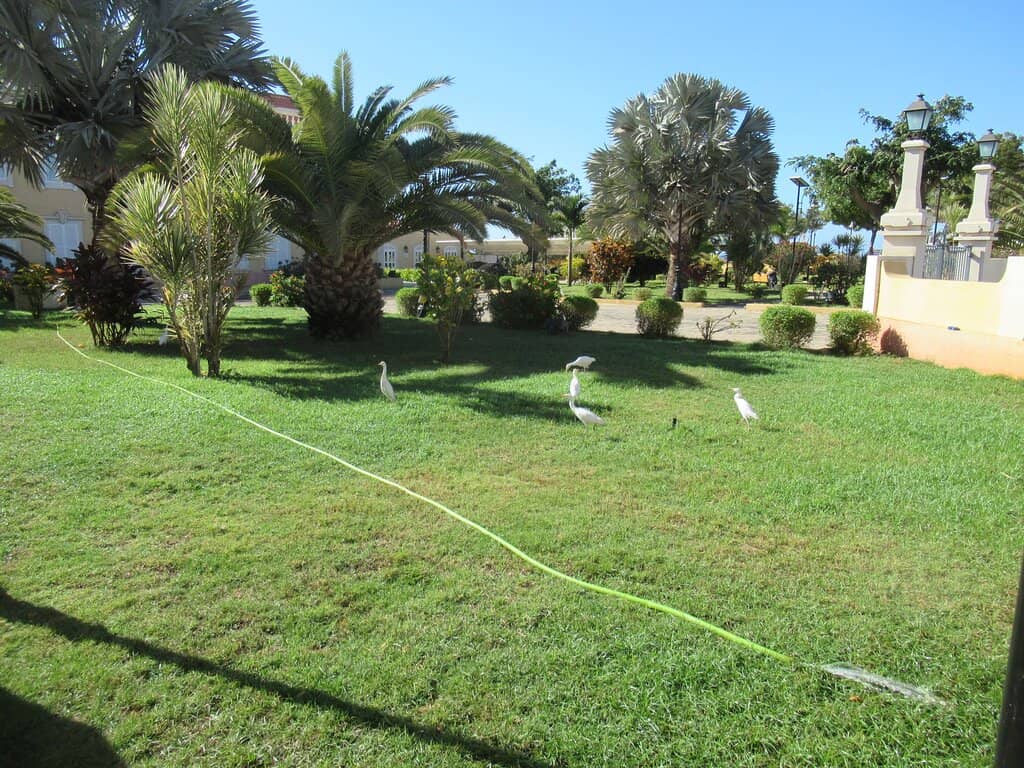 Peaceful Park and Gardens