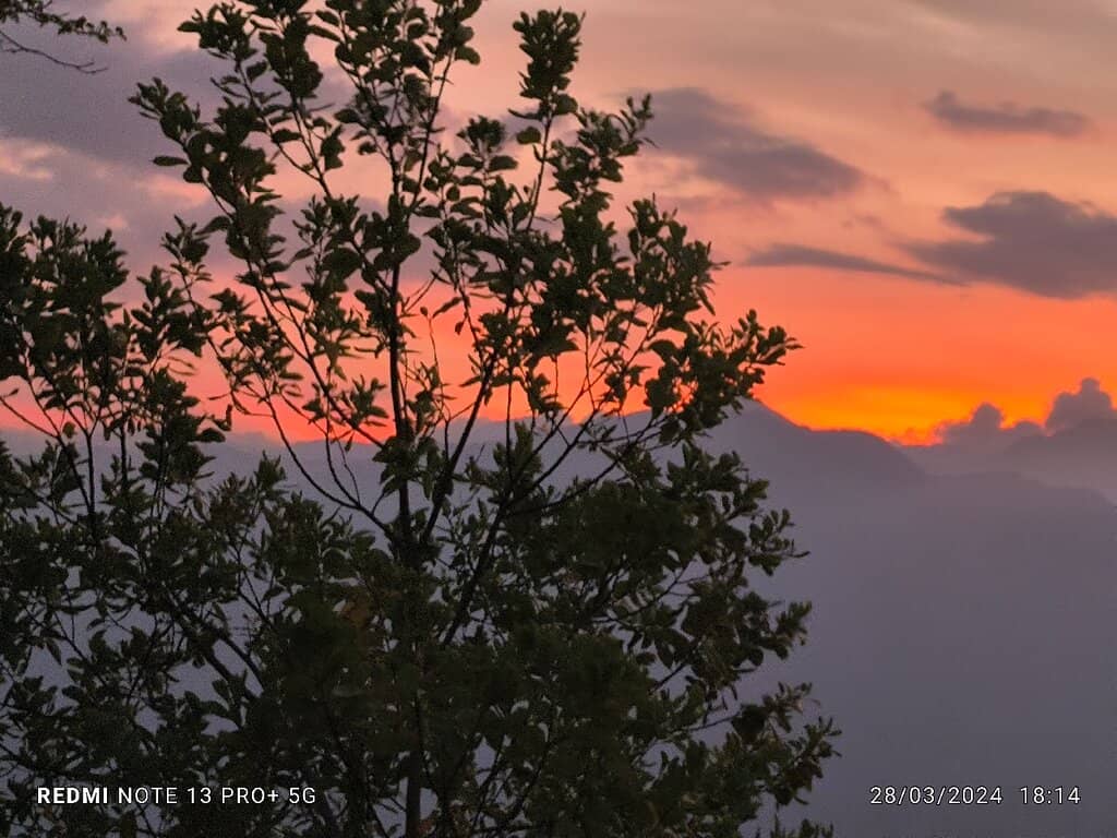 Independence Cocina y Sazón