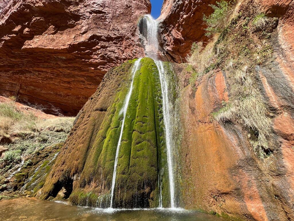 Vertical photo