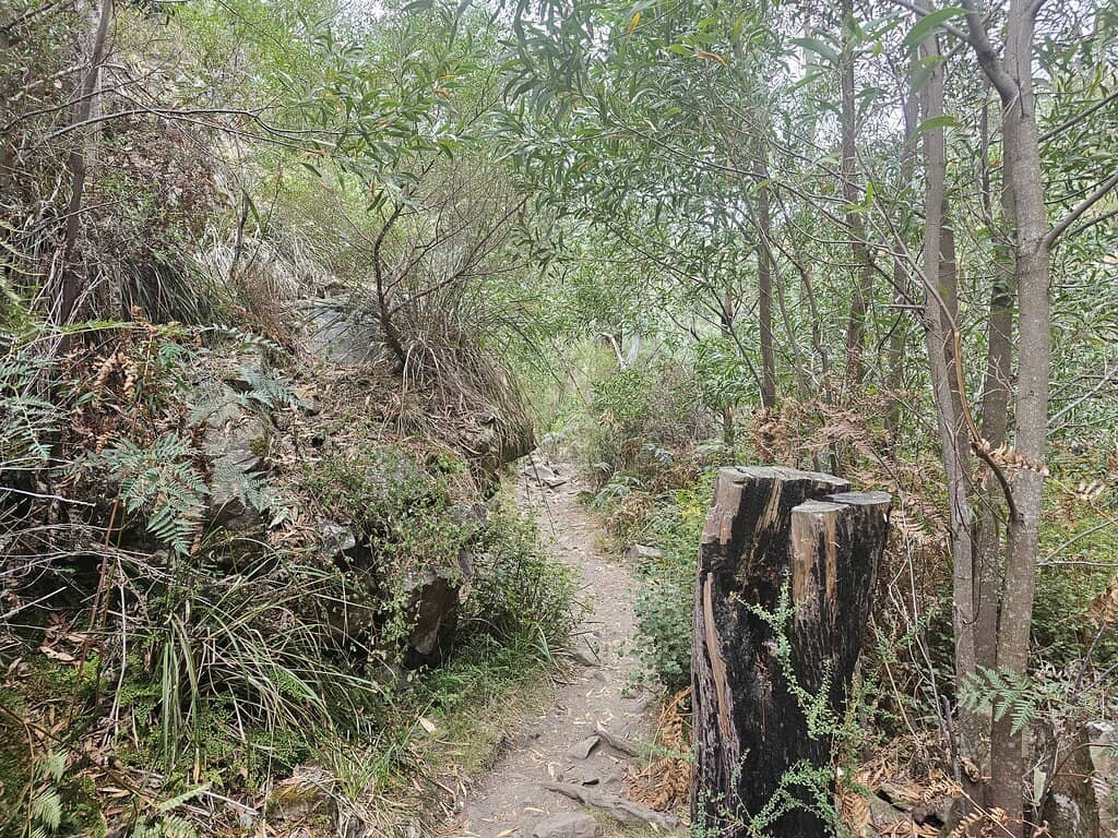 Tranquil Relaxation Spot