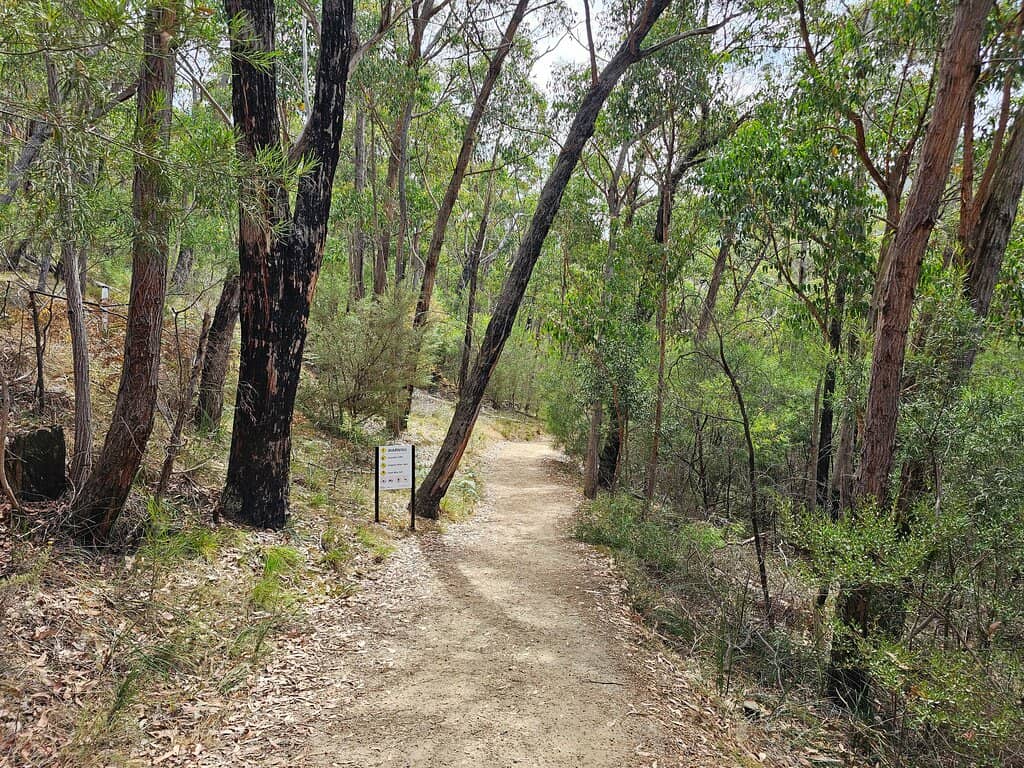 Scenic Woodland Walk