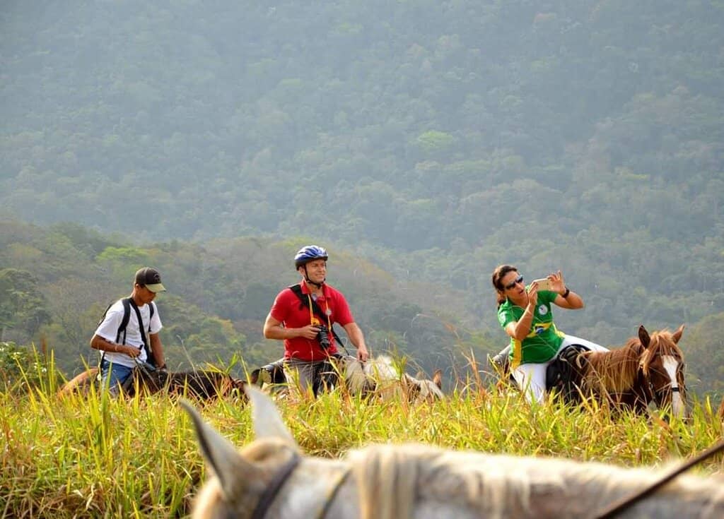 Panoramic City Views