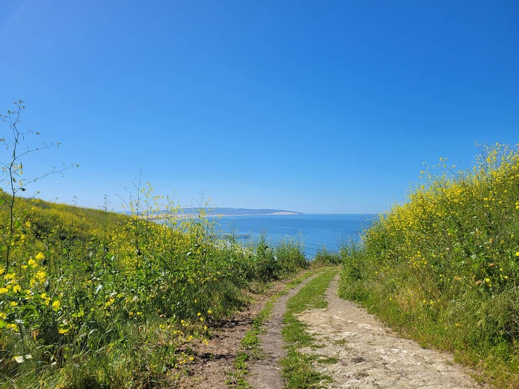 Diverse Trail Network