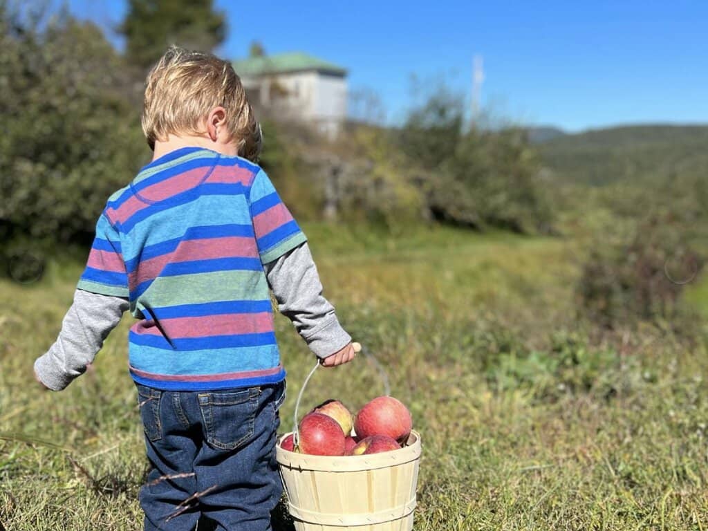 Live Music & Mountain Charm