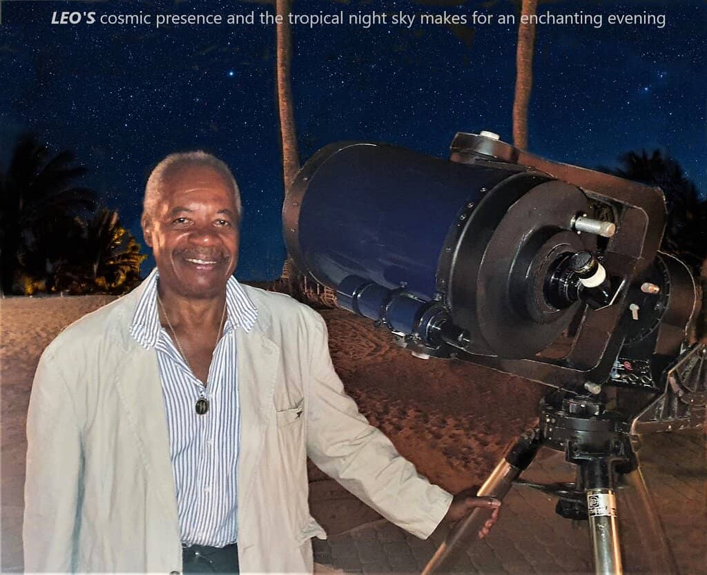 Christmas Tree Festival