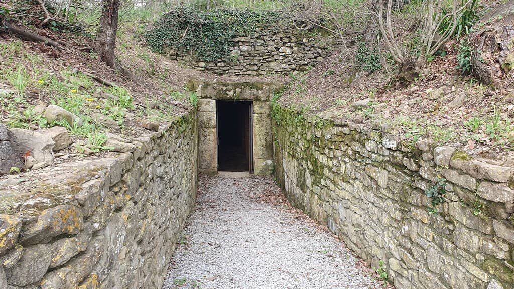 Etruscan Life Insights