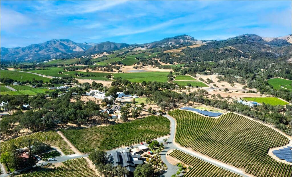 Bordeaux & Rhône-Inspired Wines