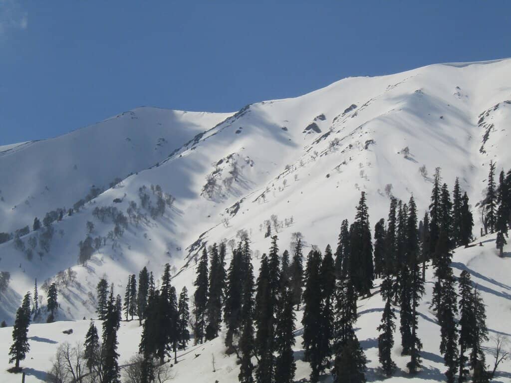 Strawberry Valley Views