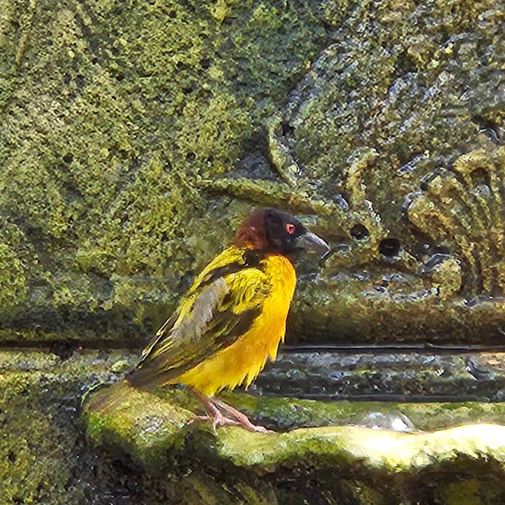 Historic Architecture