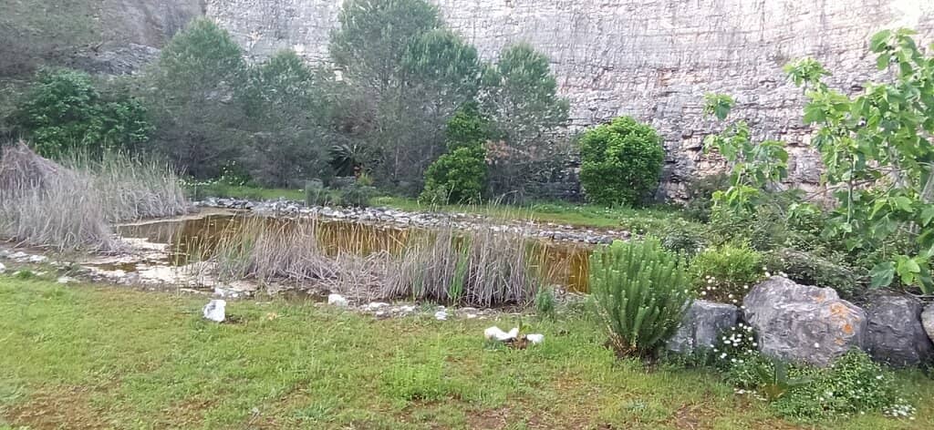 Rocky Coastline Exploration