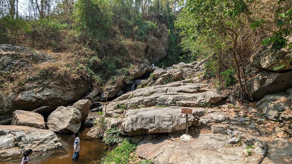 Butterfly & Old Tree Sanctuary