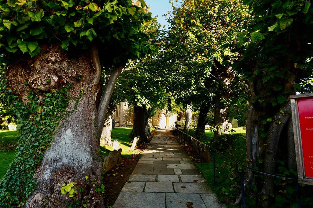 Stained Glass Windows