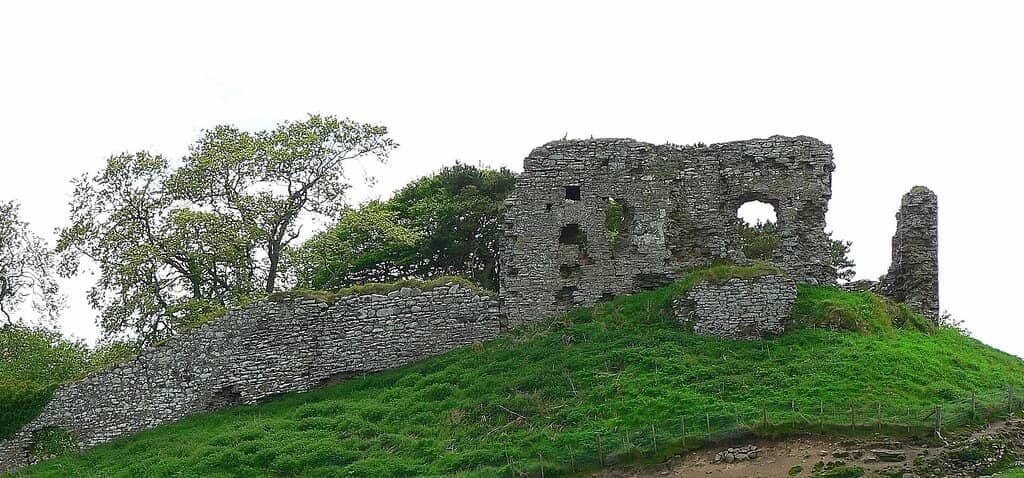Wildflower & Nettle Paths