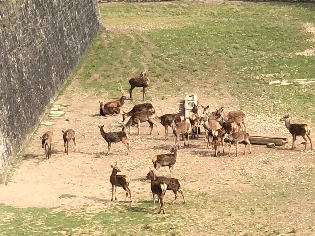 Miniature Battle Dioramas