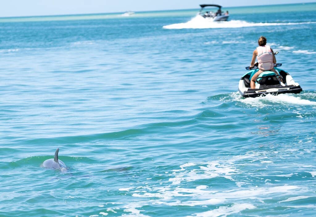 Breathtaking Sunsets