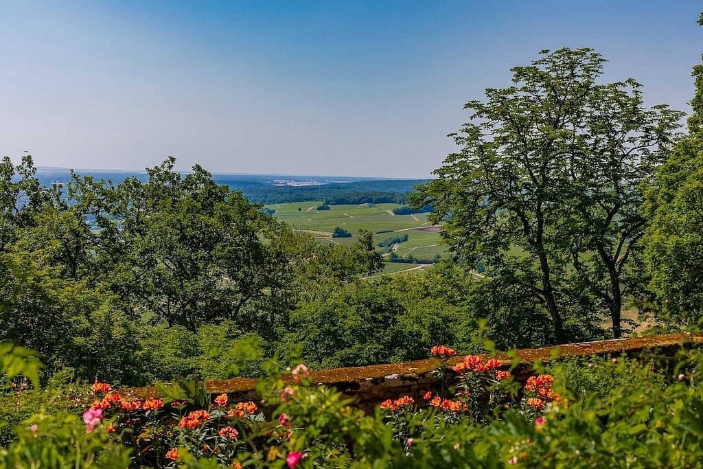 Historic Tower Ascent