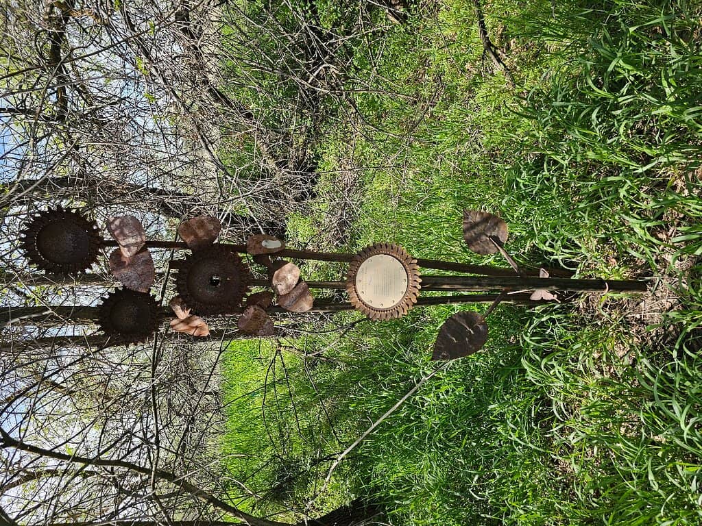 Creative Birdhouse Display