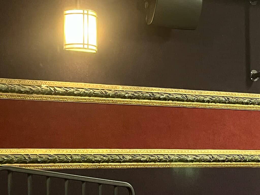 Live Performances & Screenings