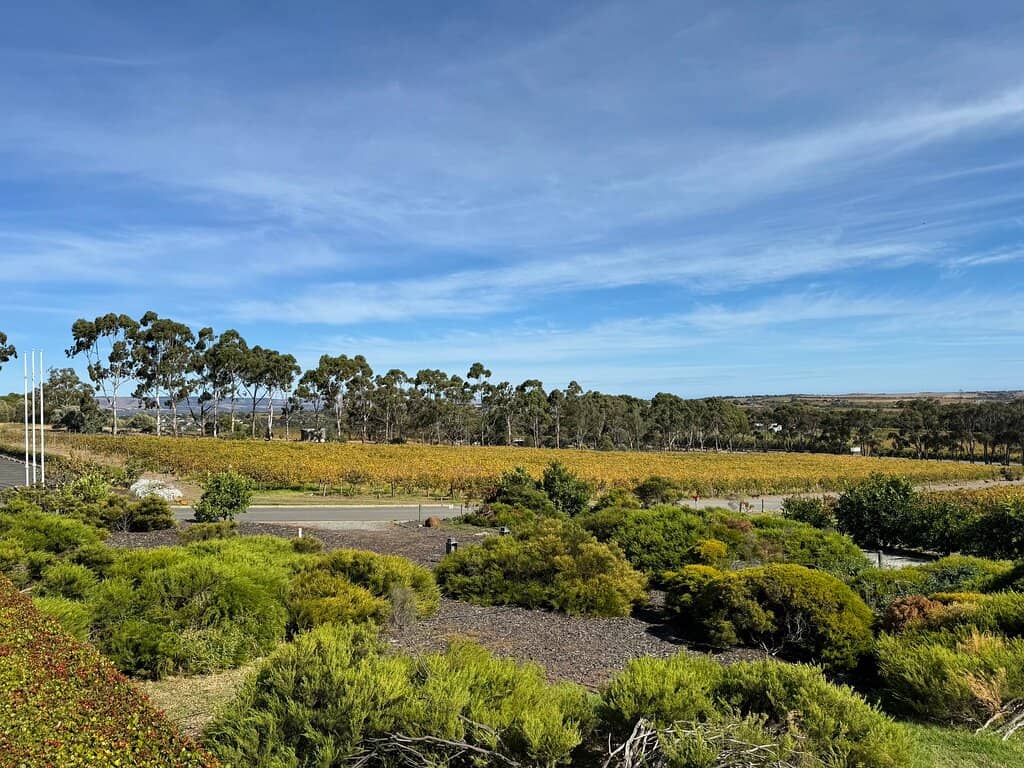 Stunning Vineyard Views