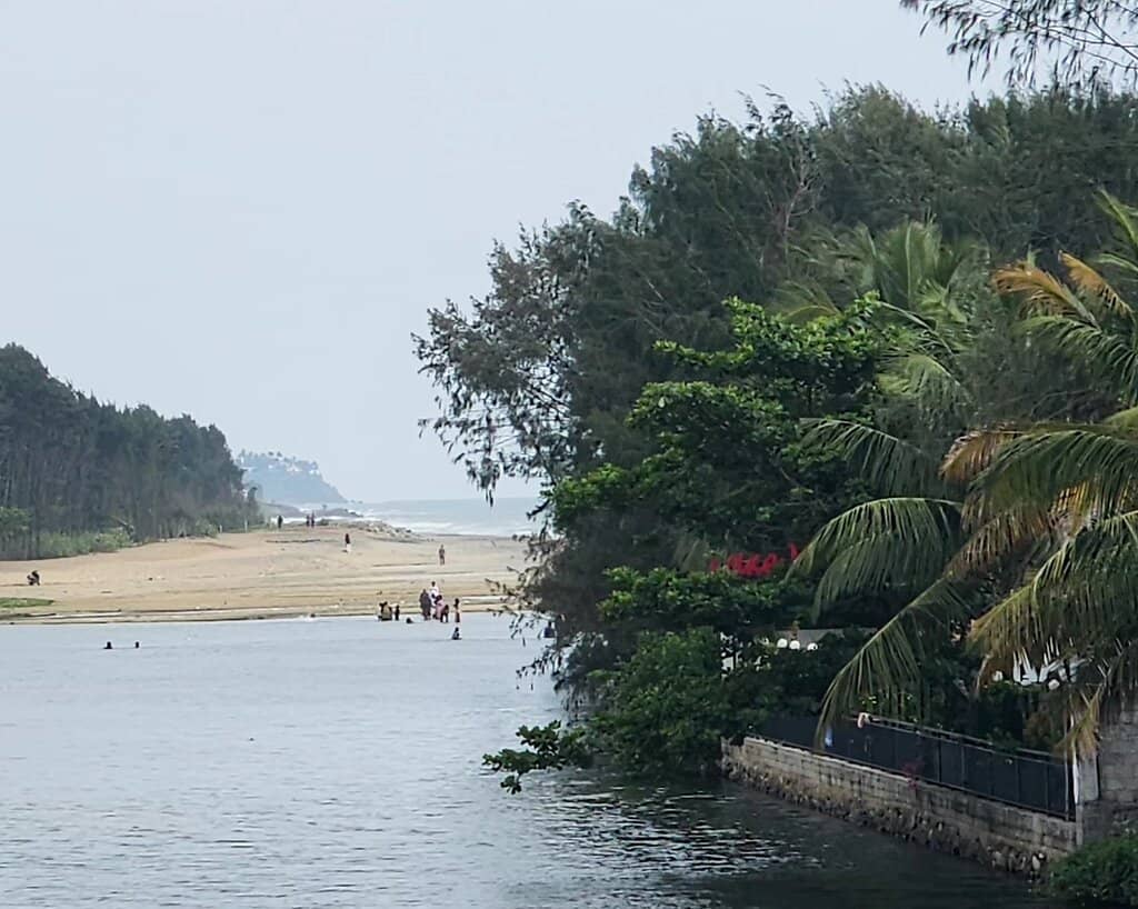 Backwater Activities