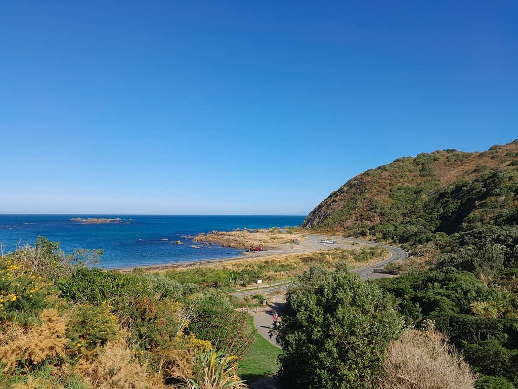 Panoramic City Views