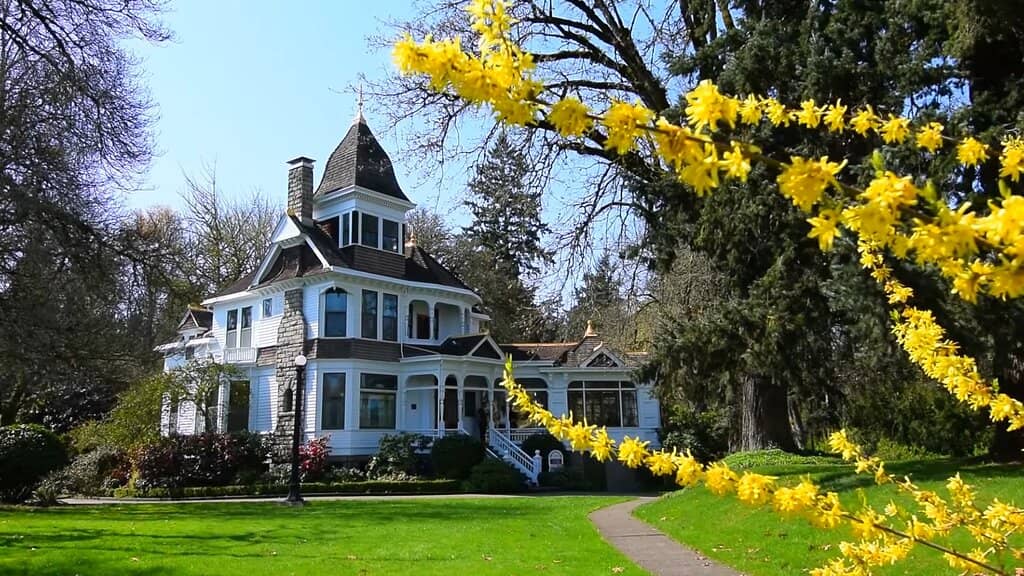 The Euphoria Music Box