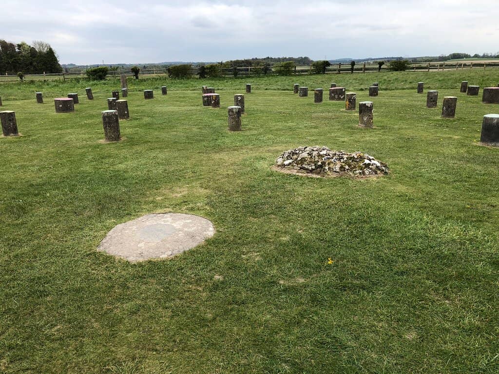 Peaceful Meadow Setting