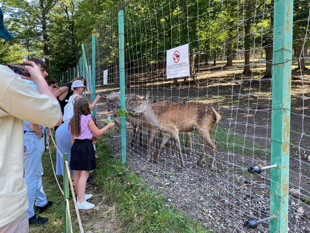 Dilijan National Park Trails