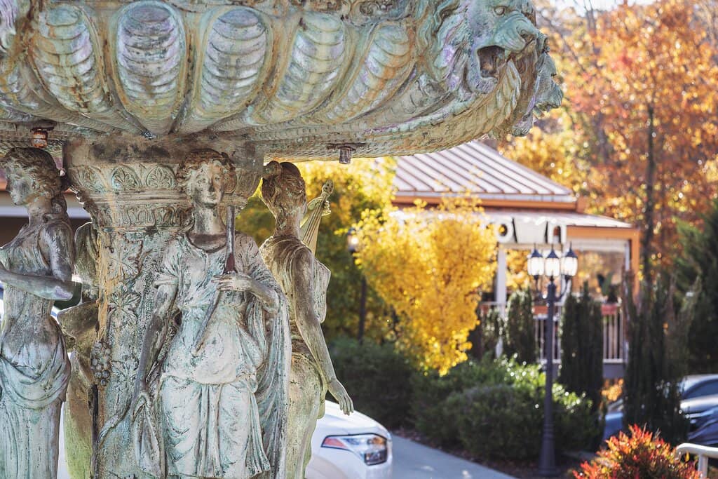 Dog-Friendly Patio Dining