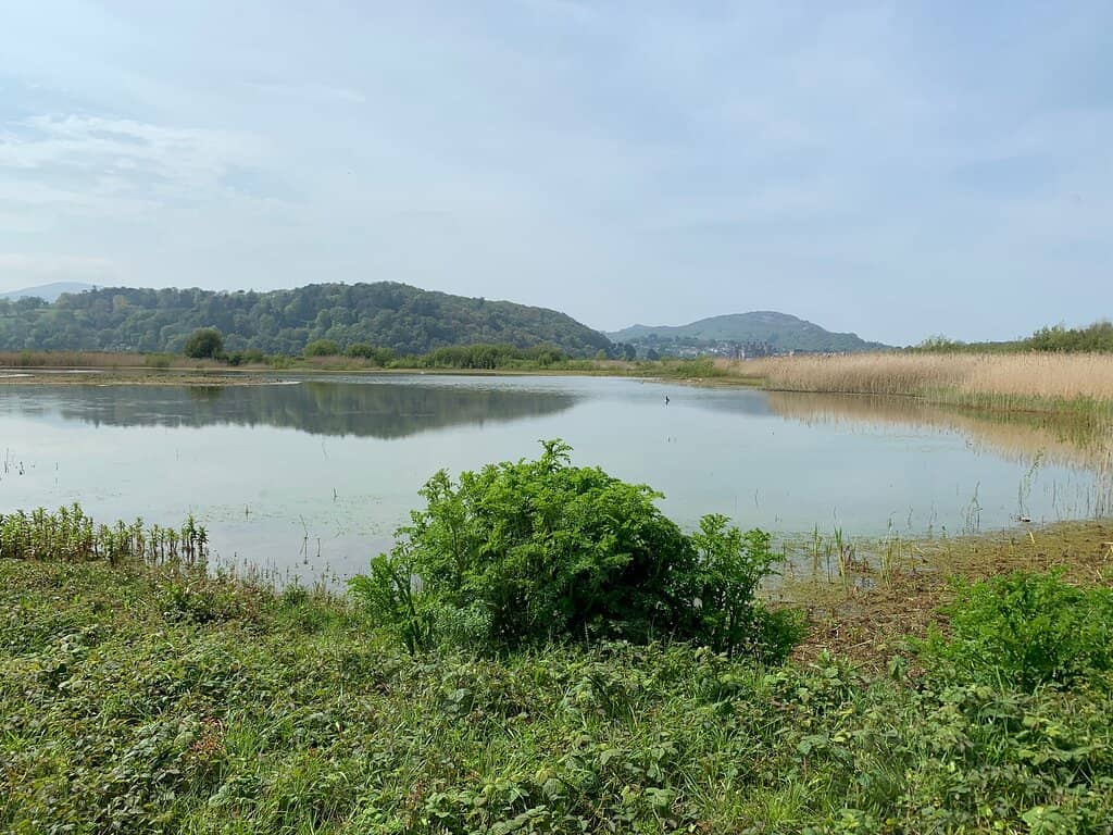 Estuary Saltmarsh Walk