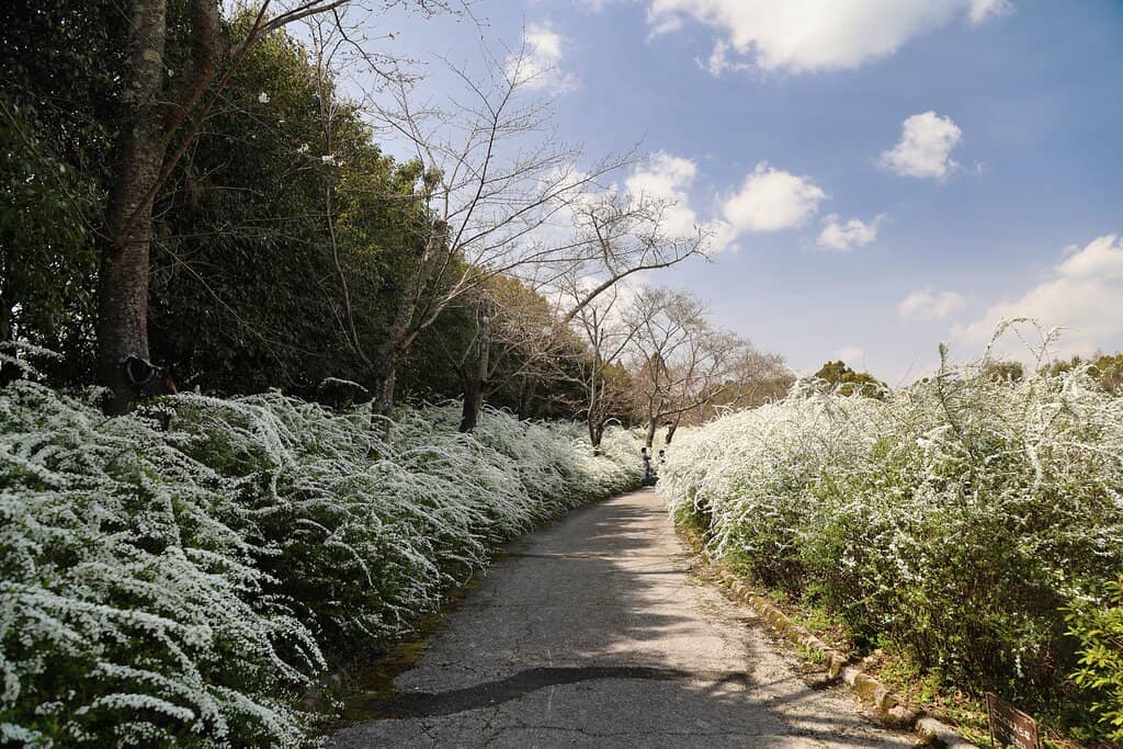 Illuminated Night Views