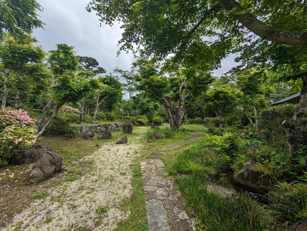 Castle Park Sakura Trees