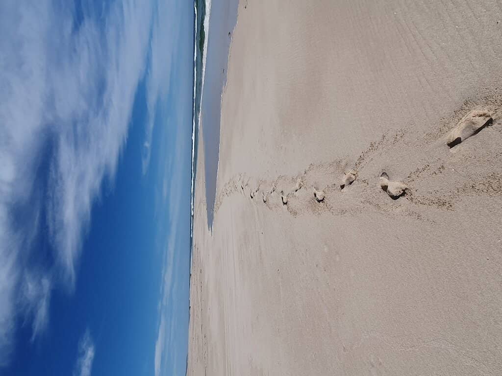 Milkwood Picnic Area