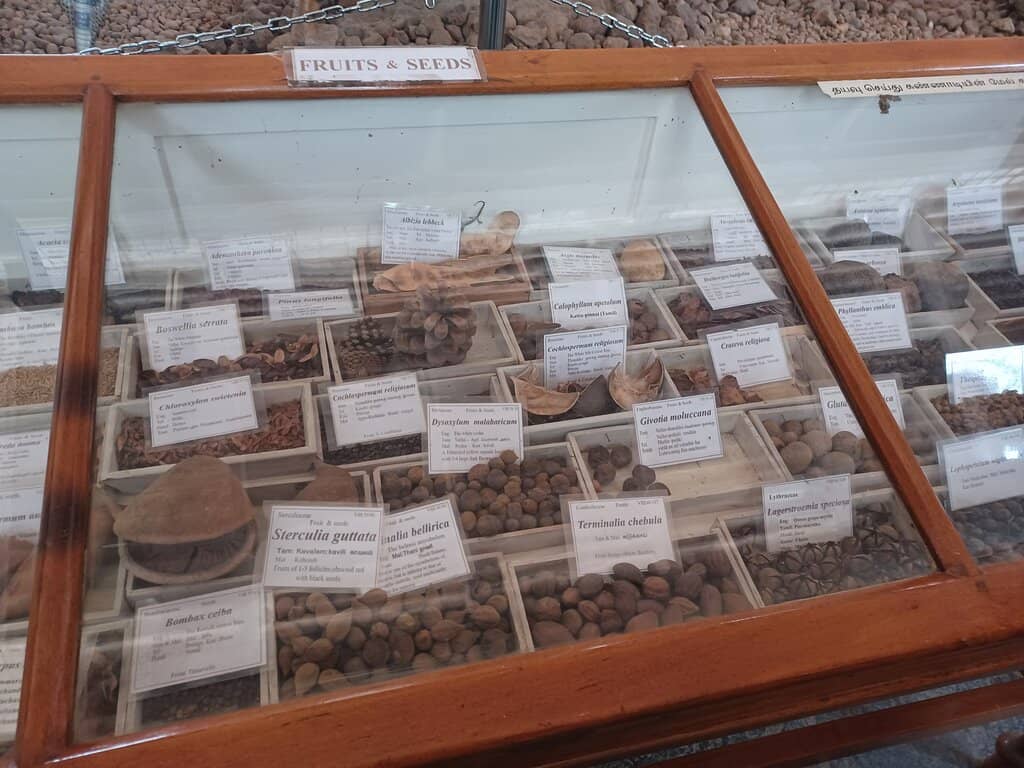 Forestry Artifacts