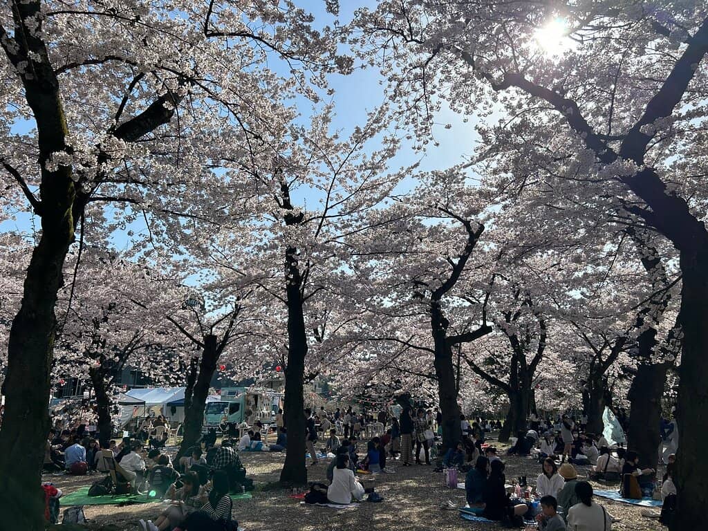 Unique Steam Locomotive