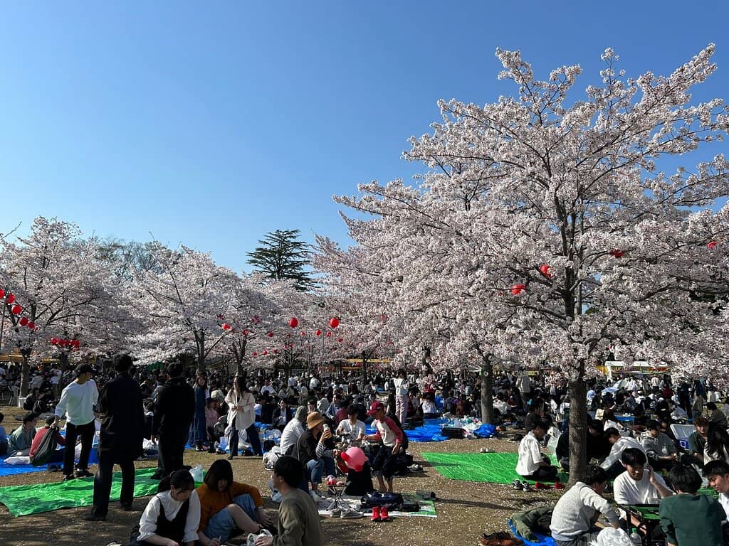 Sendai Tanabata Fireworks