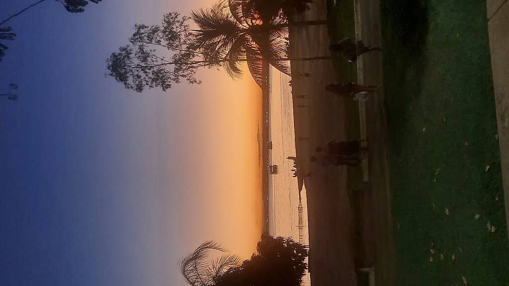 Authentic Tucunaré Tocantinense