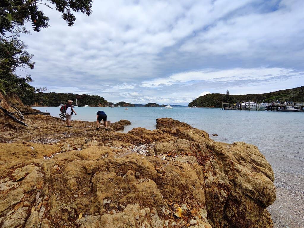 Native Birdlife Encounters