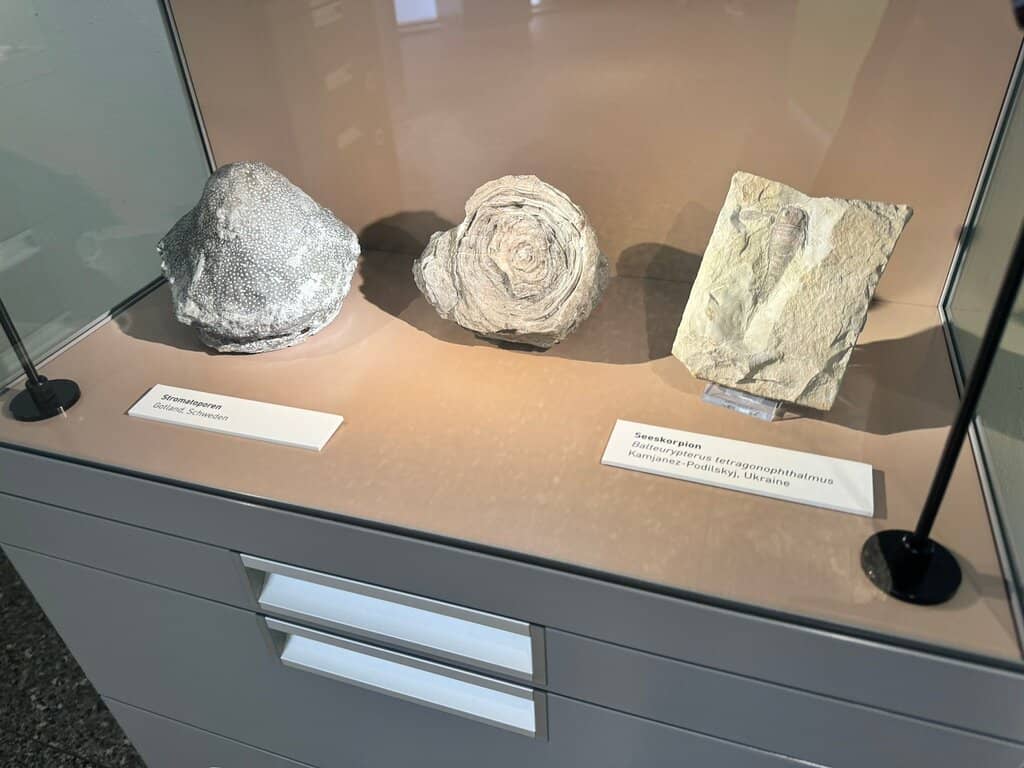 Interactive Earth & Nature