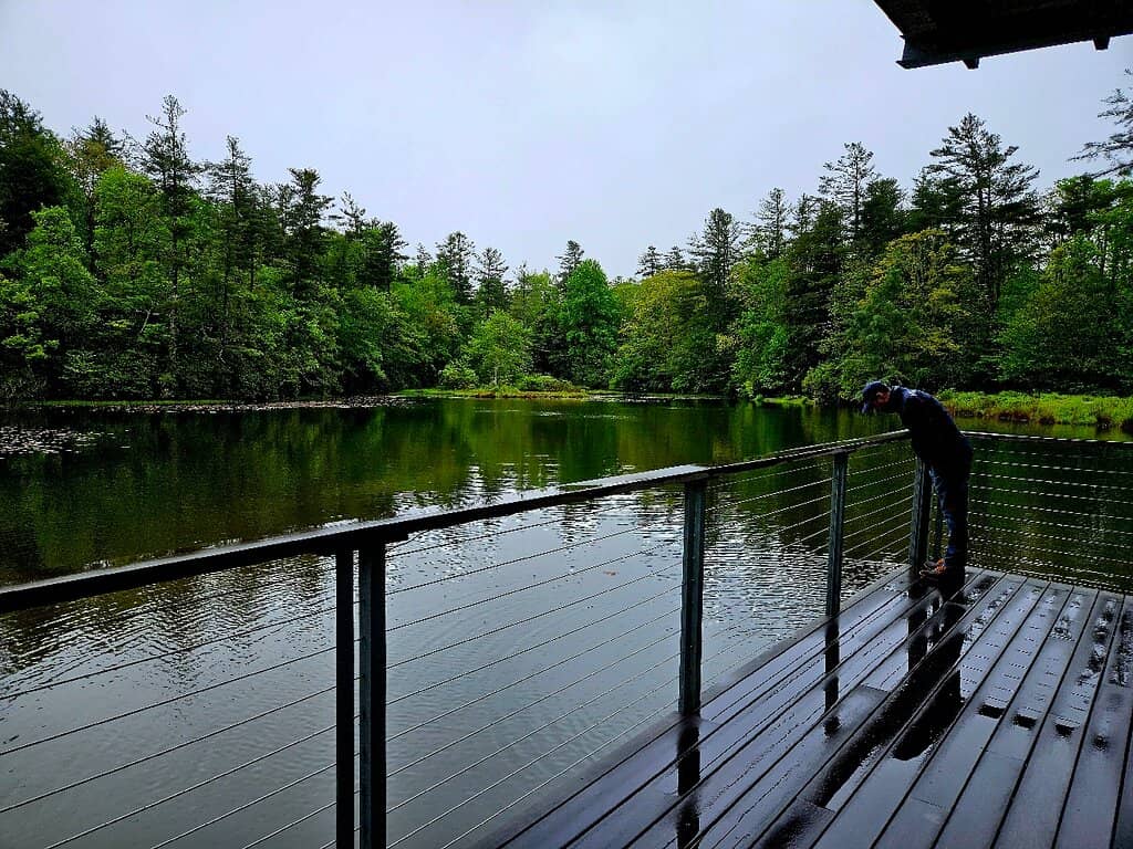 Themed Walks & Lectures