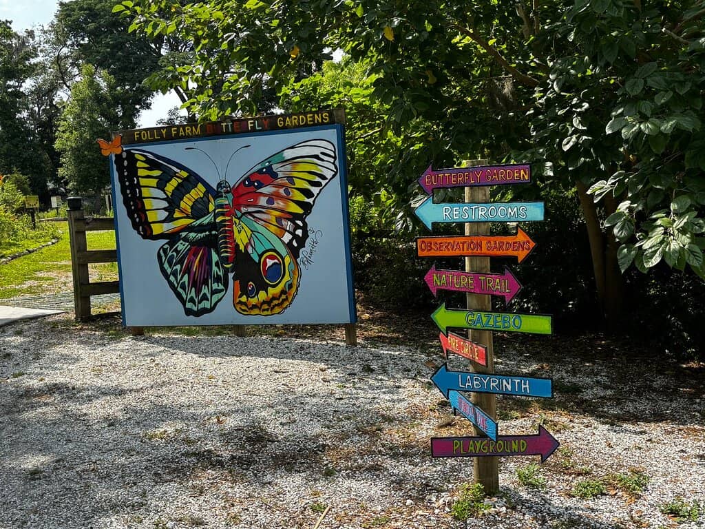 Butterfly Garden